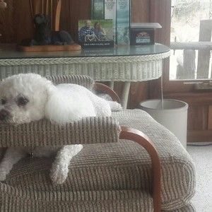 Meet your Posher, Tom